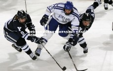 星空体育官网-吉马良斯尊卡塞米罗为生涯标杆 赞内马尔助巴西队砥砺前行