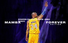 星空体育官网-早报，Ciao大卫·阿斯托里—足球绅士的永恒记忆