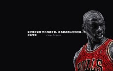 星空体育官网-热火再战首都，靠韦德决胜三分揭终局，热火队韦德