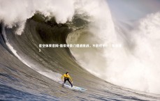 星空体育官网-葡萄牙豪门遭遇挑战，不敌对手！，葡萄牙1